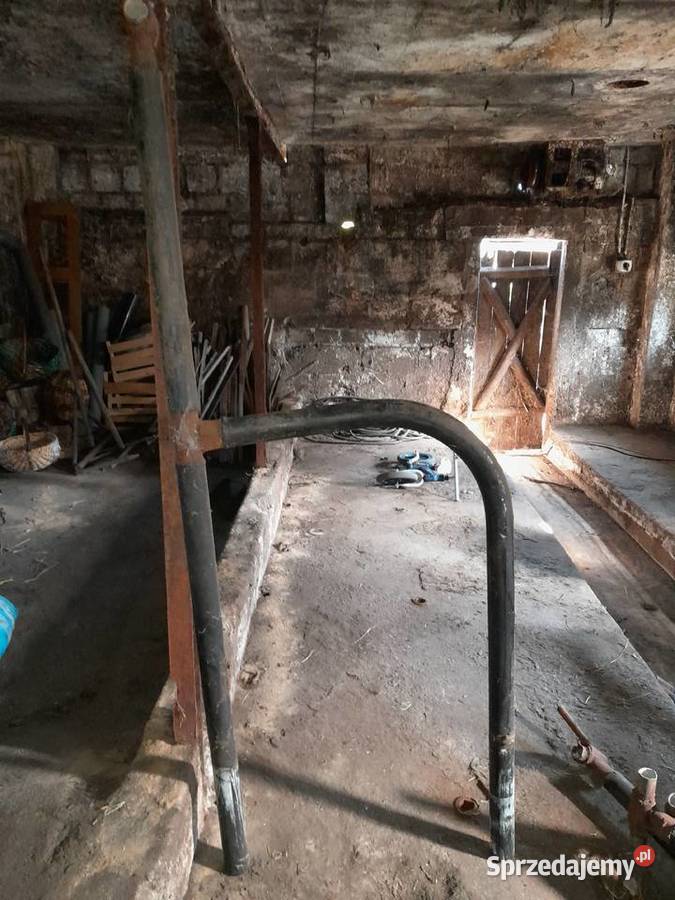 Stanowiska bydła Sztabin