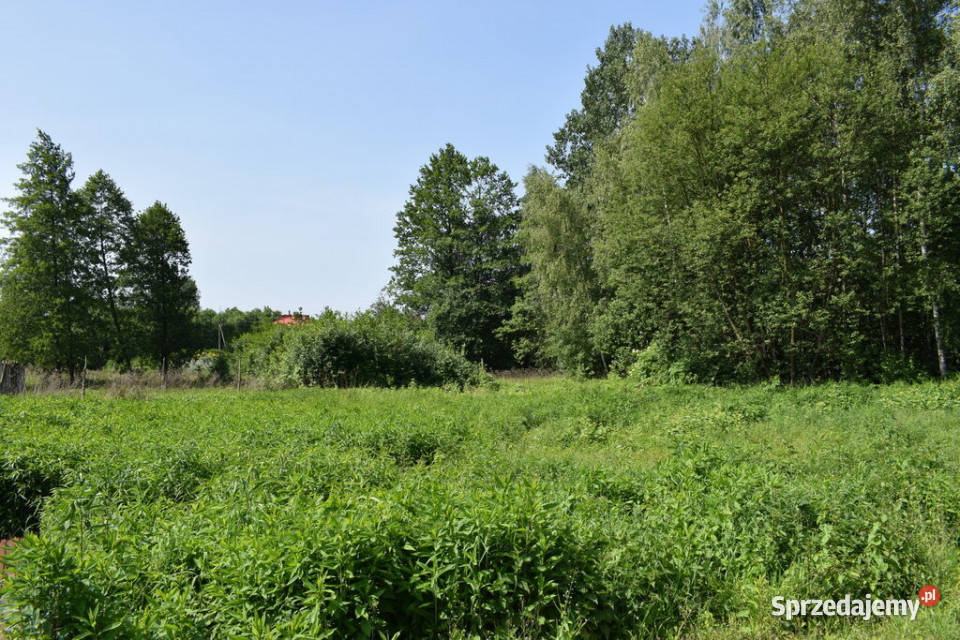 Działka budowlana 68a Jasionka Sprzedaż sprzedam