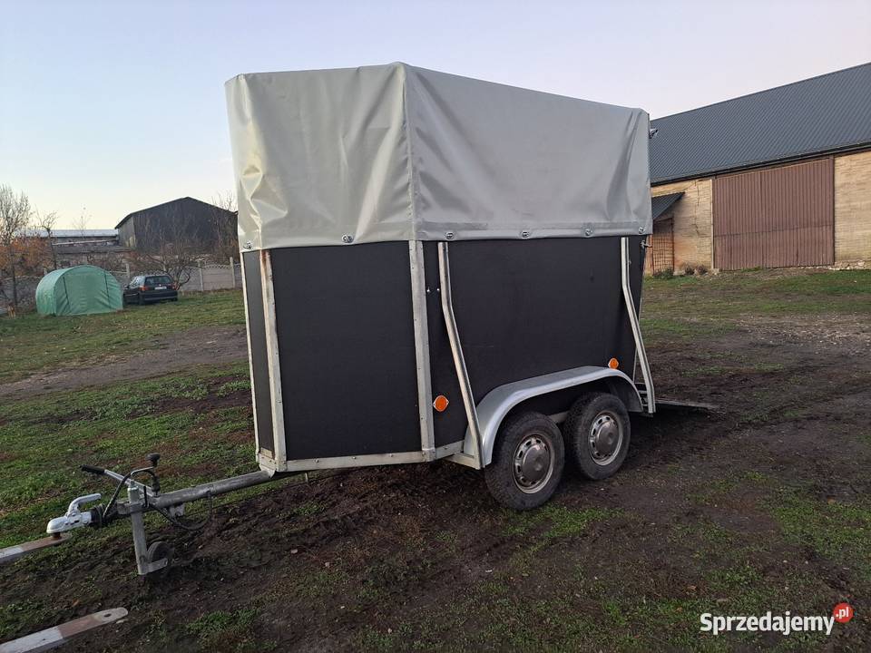 Przyczepka przyczepa do przewozu zwierząt koni świętokrzyskie