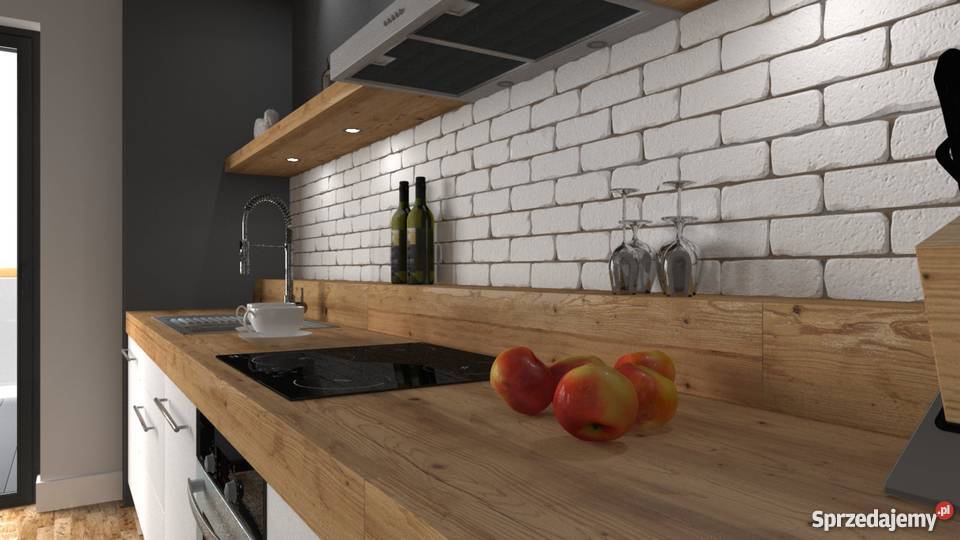 Sprzedam Pro 100 z pendrive pełna licencja i Oprogramowanie Szczecin sprzedam