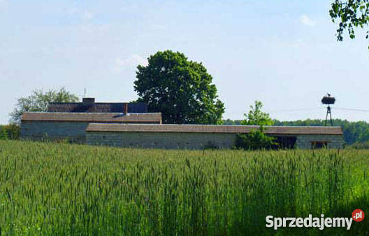 Dom Siedlisko Na Wsi ogródek Czarmuń