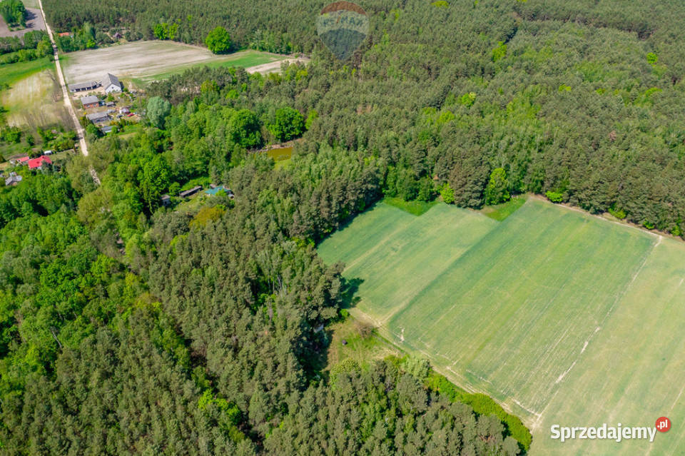 Budowlana 2300 m ze stawem i zielenią Góry Prusinowskie
