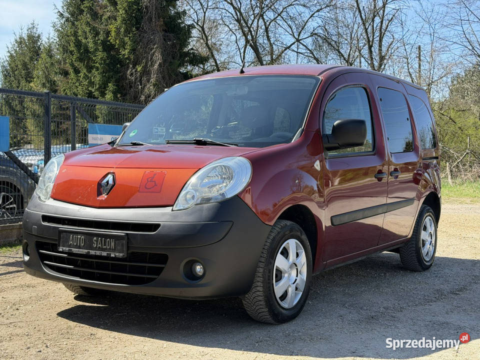 Renault Kangoo lakier metallic Kangoo Renault Częstochowa