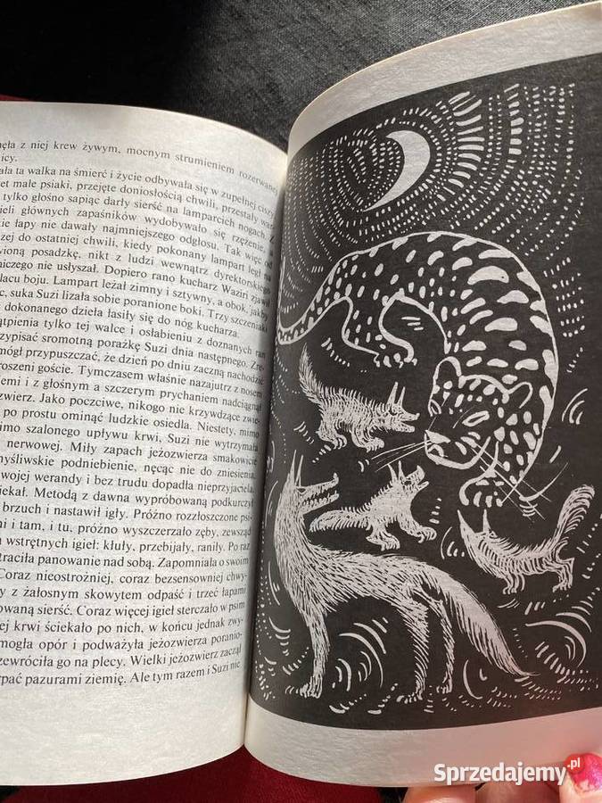 ZWIERZAKIWaclaw Korabiewicz Lublin