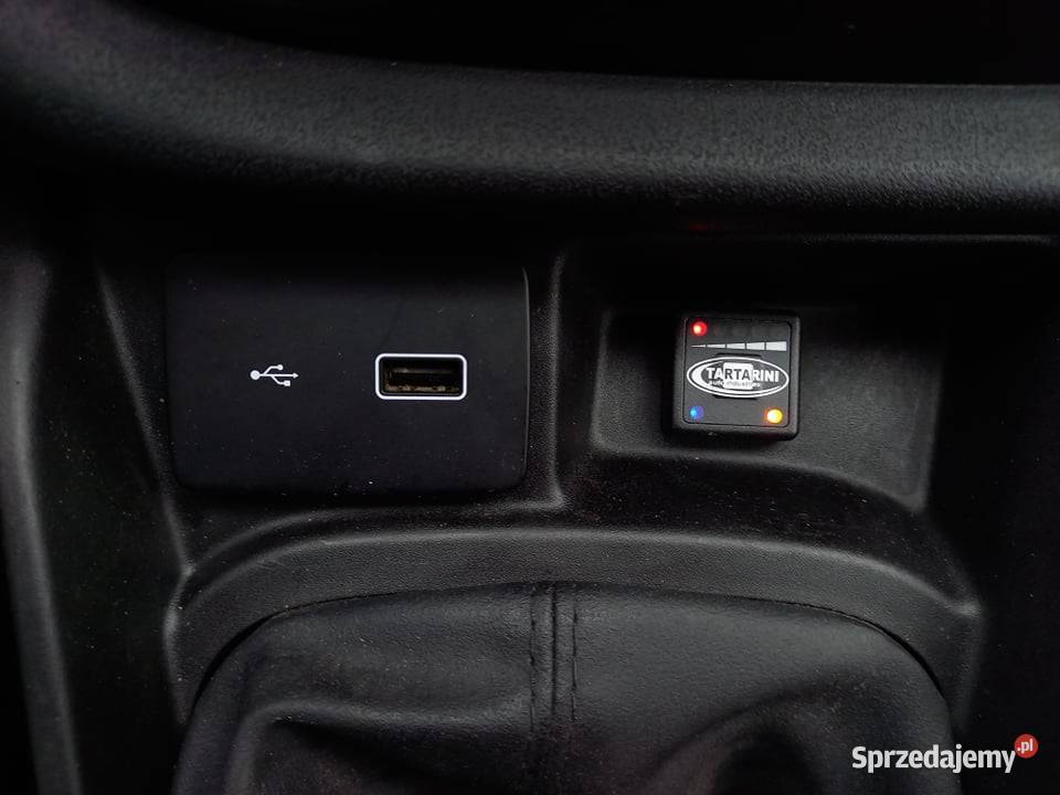 Fiat Doblo Fiat Doblo Van Cargo XL Maxi L2H2 Murowaniec