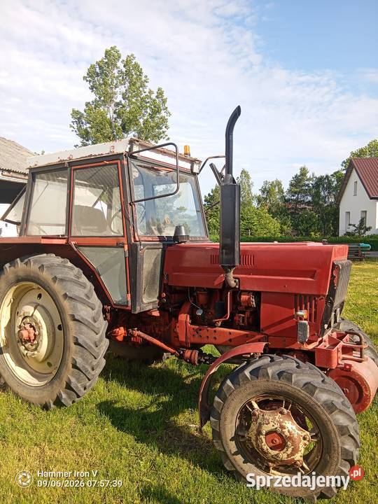 Ciągnik MTZ 82 MTZ kujawsko-pomorskie Toruń