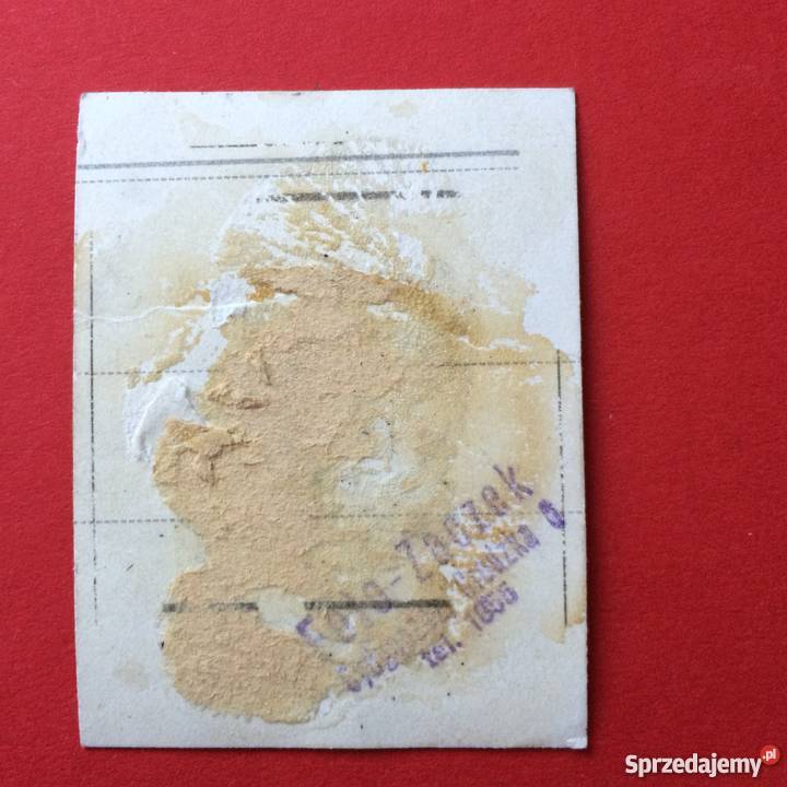 1163 Zakłady Fotograficzne Bydgoszczy Szczecin