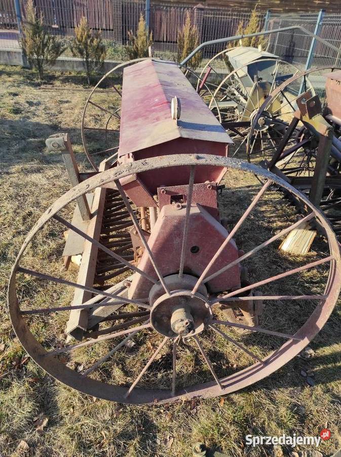 Sprzedam siewniki Wielkie Oczy sprzedam