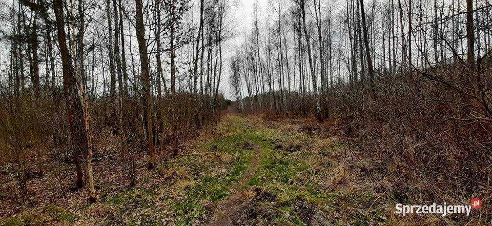 Działka rolnaleśna gm Żabia Wola niedaleko S8 mazowieckie sprzedam