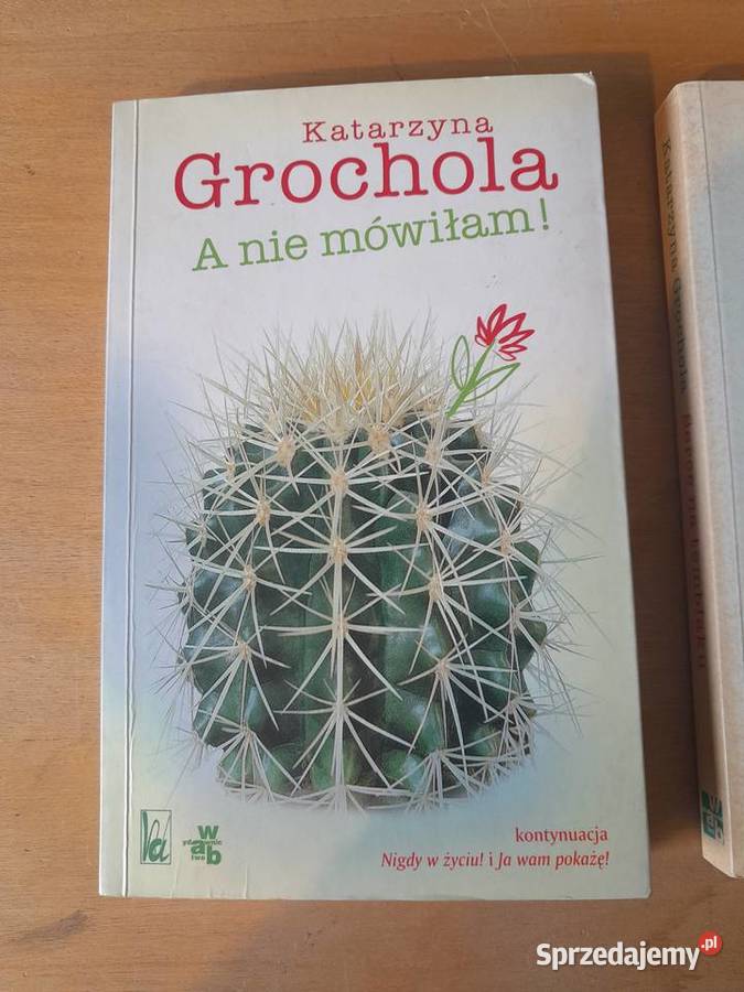 Zestaw trzy książki Katarzyna Grochola Nigdy w Dąbrowa Górnicza sprzedam