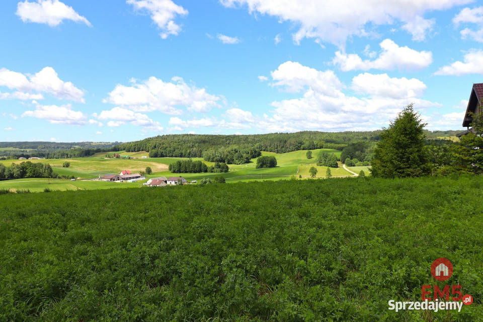 sprzedaży gruntu 4800m2 Olszanka