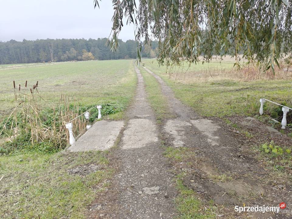Syndyk sprzeda Kobierne Sprzedaż