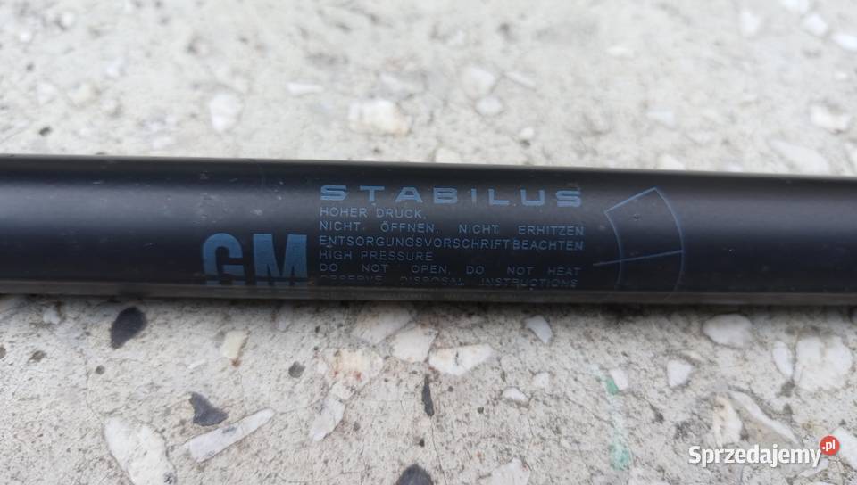 Oryginalny GM SiłownikTeleskop Tylnej Klapy do śląskie Katowice