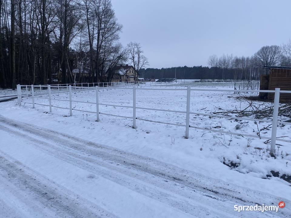 Ogrodzenie koni białe pcv słupki lonżownik Inowrocław