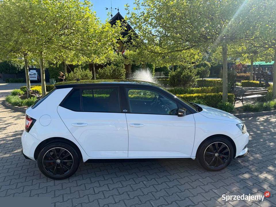 Skoda Fabia 14 TDI Clever 90 2019r Fabia wielkopolskie Krotoszyn