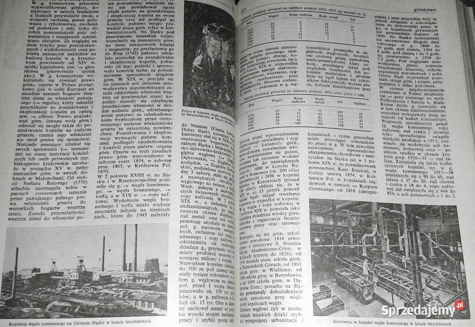 Encyklopedia historii gospodarczej Polski do Rok wydania 1981