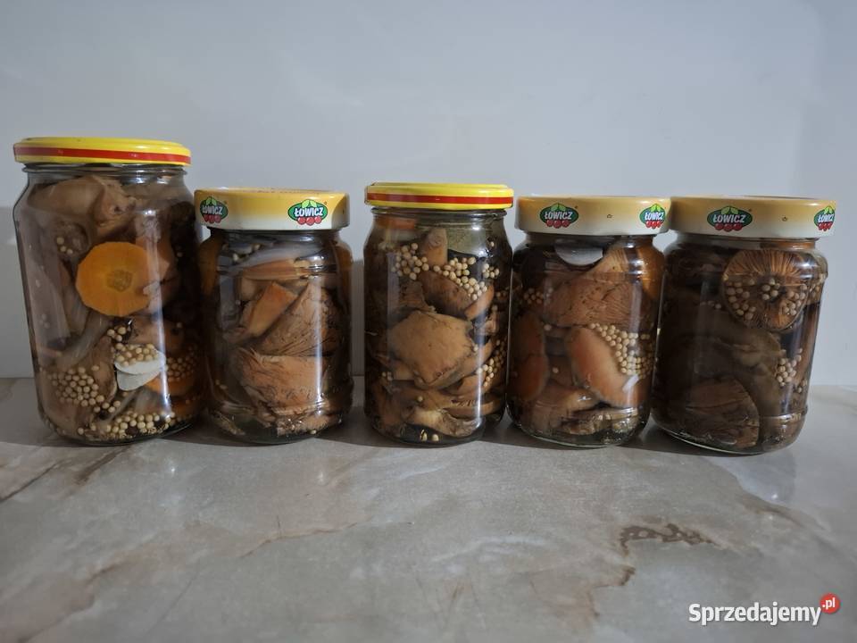 Rydze opieńki kanie gąsówki fioletowawe Grzyby śląskie Czyżowice sprzedam