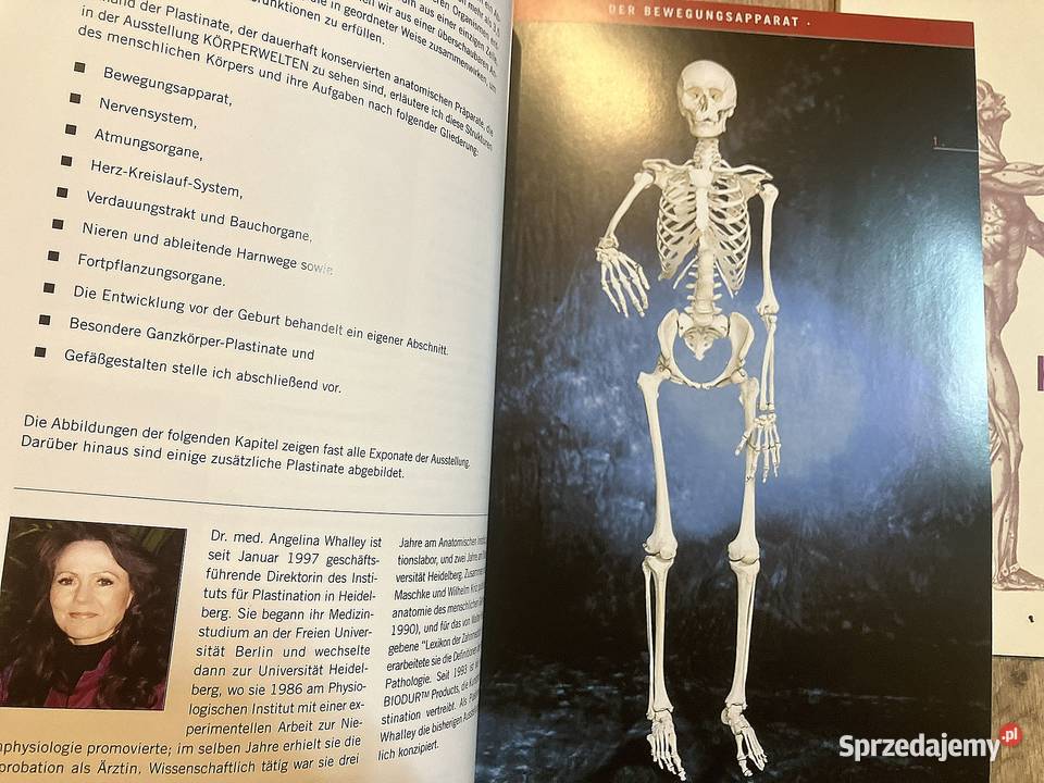 Gunther von Hagens Krperwelten Body Worlds mazowieckie
