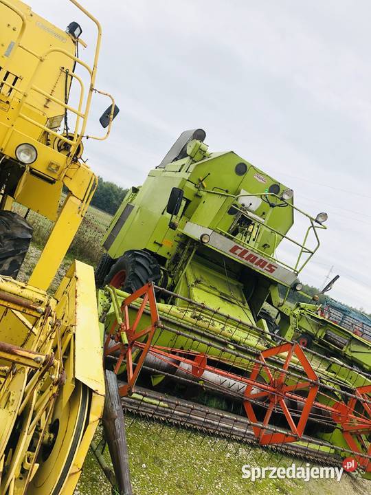 CLAAS mercator 60 Włoszczowa