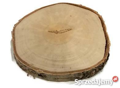 Plastry drewniane krążki brzoza 2022 szlifowane Rybnik