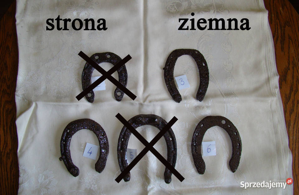 Podkowa stara kuta prawdziwa znajdka z lasu podkarpackie Przemyśl