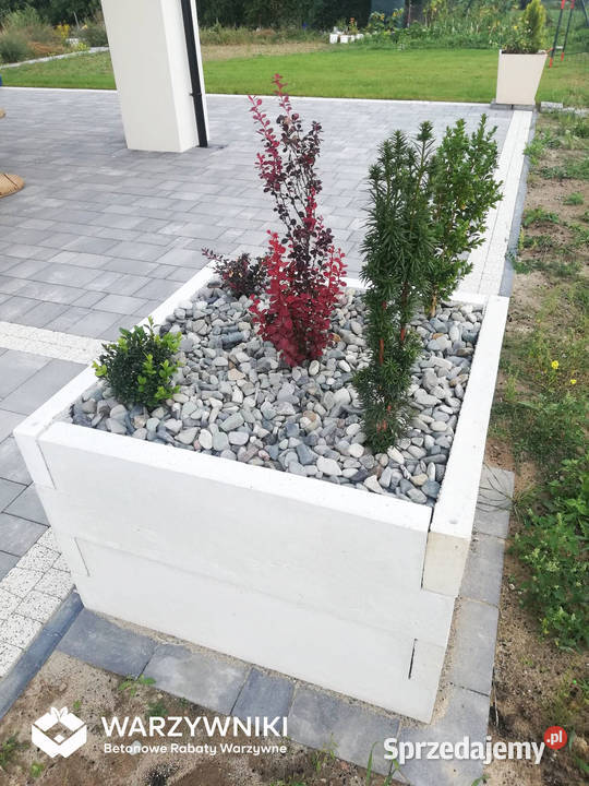 Rabata betonowa Skrzynie na warzywa Warzywnik Architektura ogrodowa sprzedam