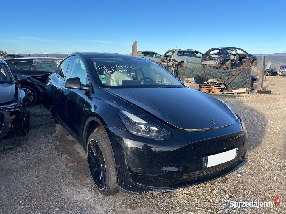 TESLA Model Y RWD Standard GK600 Gdańsk