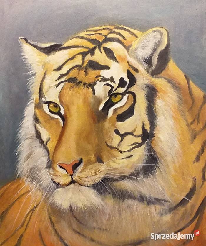 Obraz olejny Tygrys Lublin sprzedam