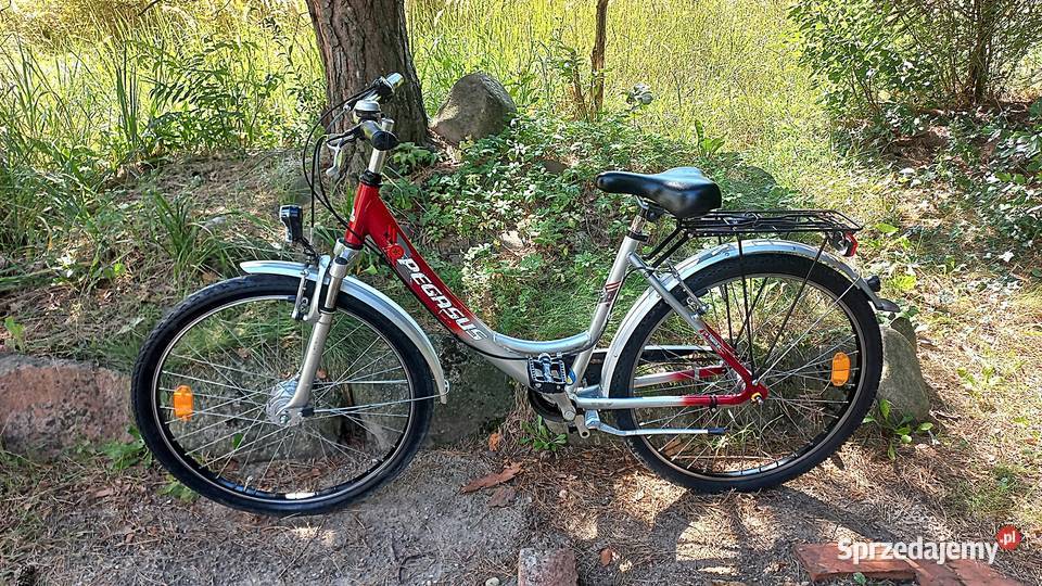Alu Rower Miejski Damski Młodzieżowy Damka Wołów sprzedam