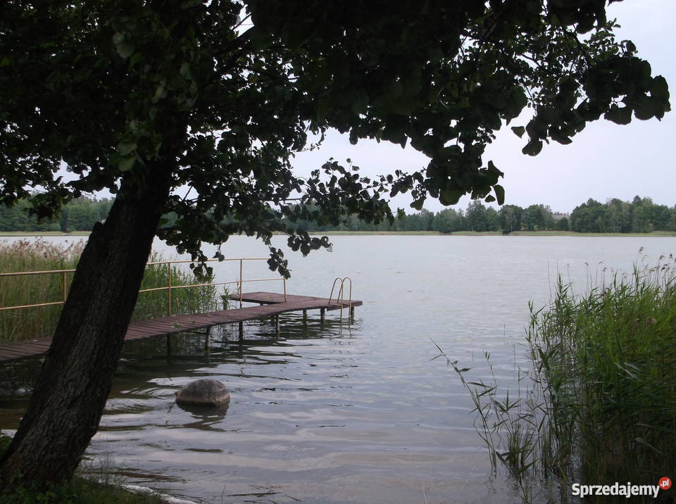 działka z linią brzegową i pomostem stalowym Grunty i działki Nieruchomości Remieńkiń