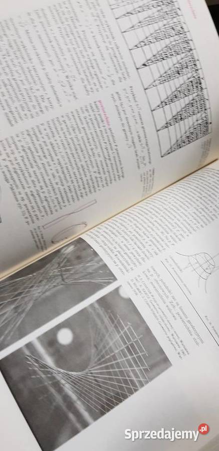 Matematyka Encyklopedia Szkolna Waliszewski ISBN 8302025518 Kielce
