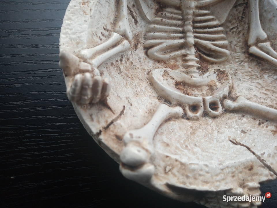Popielniczka Szkielet Kolekcjonerska Pozostałe Ruda Śląska