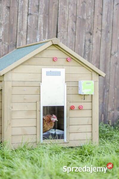 Automatyczne drzwi do kurnika 300x400 mm 70546