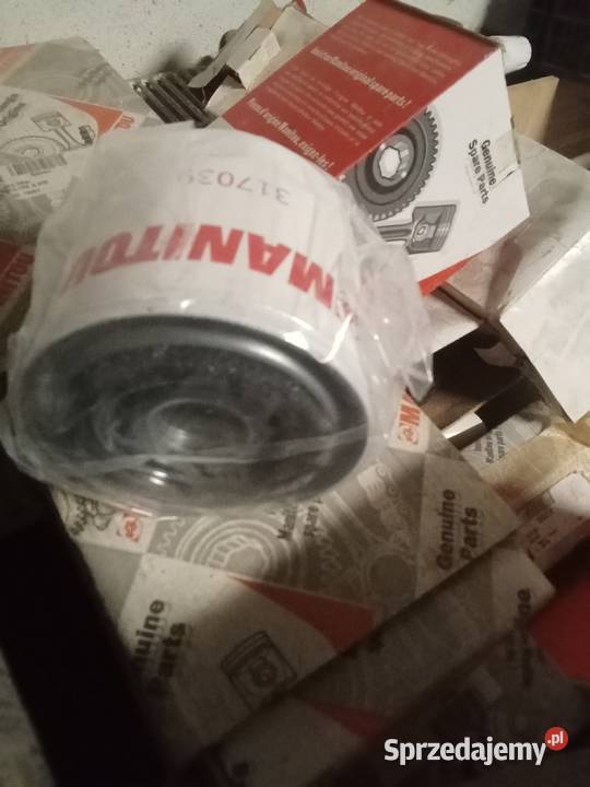 Filtr oleju silnika 317039 Rudno