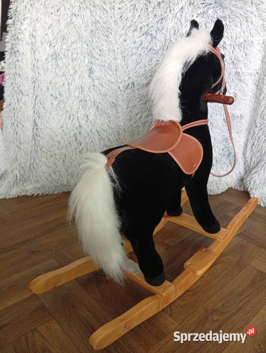 Konik na biegunach Bronisławka