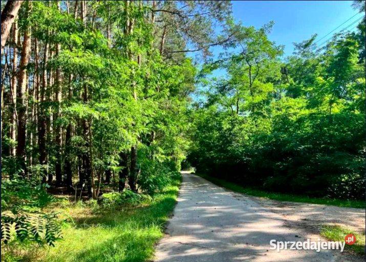 Działka budowlana drodze asfaltowej RATY świętokrzyskie Borzymów