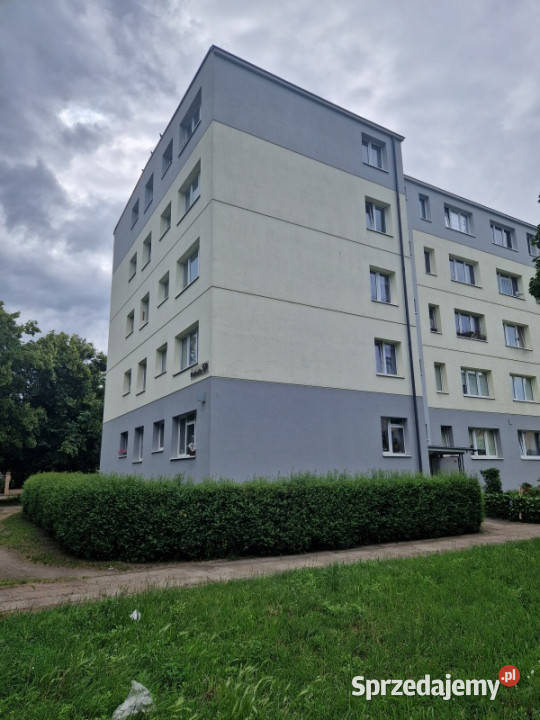 Bezposrednio 2pokojowe mieszkanie do remontu w Piętro 3 Sprzedaż Gdańsk