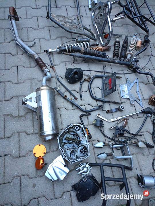Plastiki Quad Bashan Bashan Warszawa
