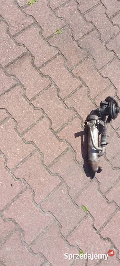 Chłodnica spalin EGR FORD MONDEO MK3 1C1Q9F464AD zachodniopomorskie Szczecin