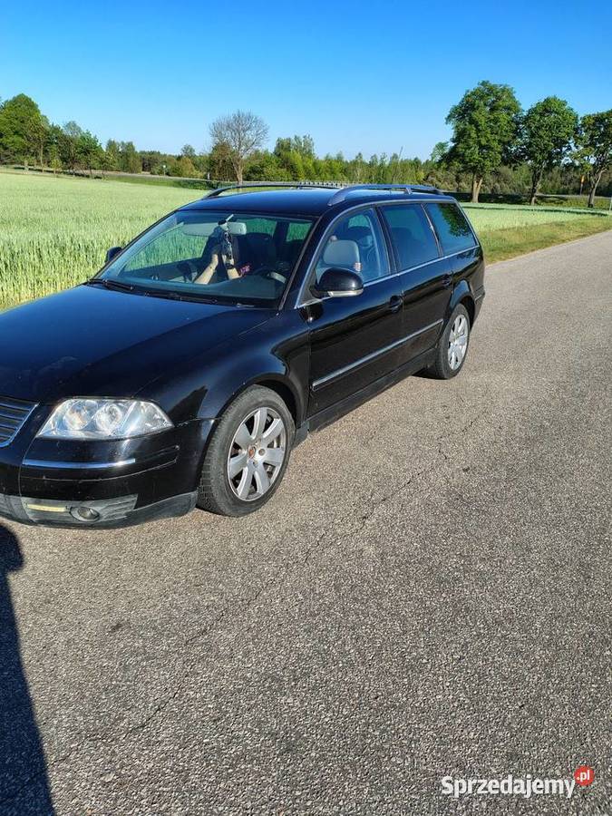 Passat bfl 19130 2004 Ryki