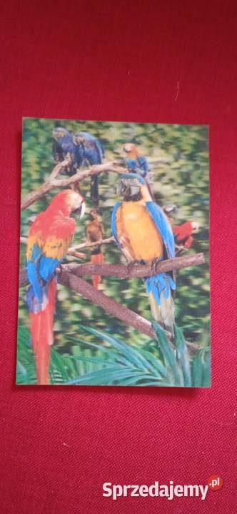 Widokówki 3D lata 80 Świdnica