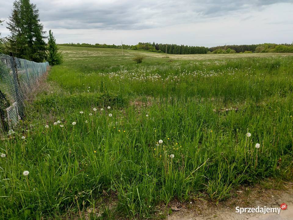 Sprzedam działki budowlane