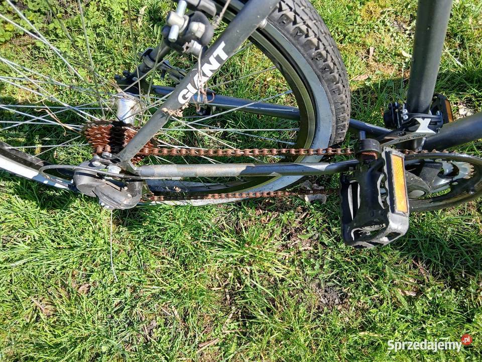 Rower górski Giant Dąbrowa Górnicza