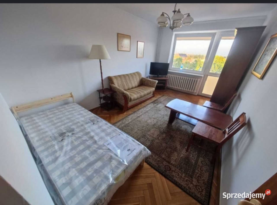 3 pokoje z oknami oddzielna kuchnia Mieszkanie