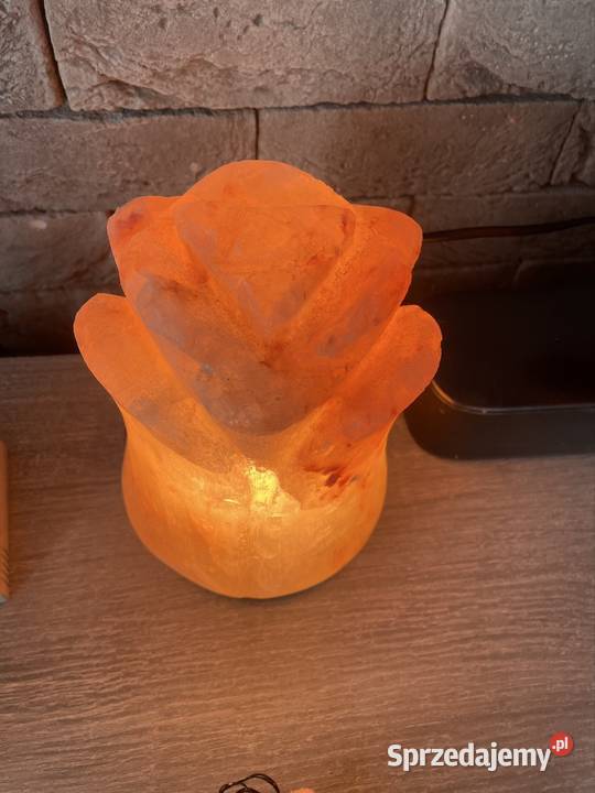 Lampa solna kwiat róży