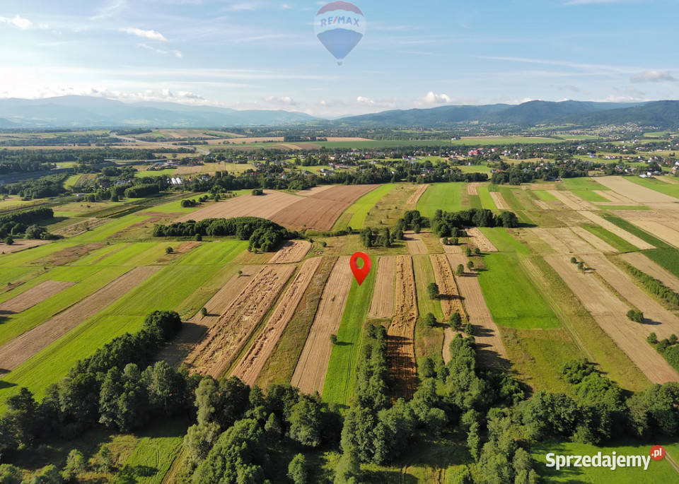 Działka rolna natury Rybarzowice