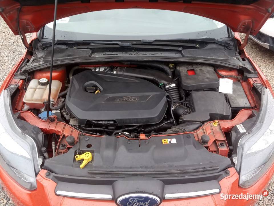 Samochód w db stanie technicznym sprowadzony Focus Lublin