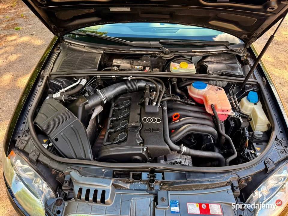 Audi A4 B7 20 benzyna bixenon 176