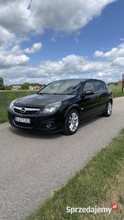 Opel Signum 19 CDTI 150 Skóra Xenon Navi PDC Białystok