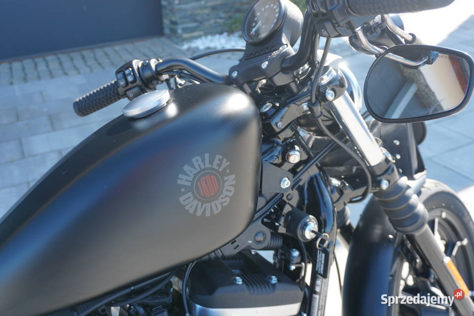 HarleyDavidson Sportster 883 IRON chopper Harley-Davidson Strzelce Opolskie